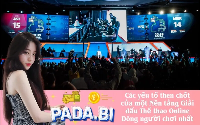 Các yếu tố then chốt của một Nền tảng Giải đấu Thể thao Online Đông người chơi nhất