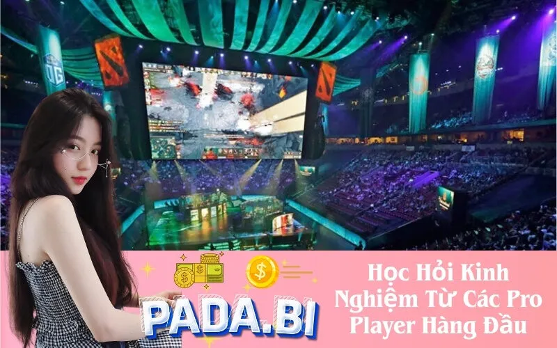 Học Hỏi Kinh Nghiệm Từ Các Pro Player Hàng Đầu