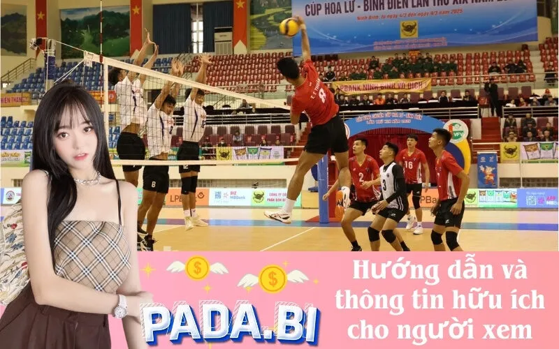 Hướng dẫn và thông tin hữu ích cho người xem