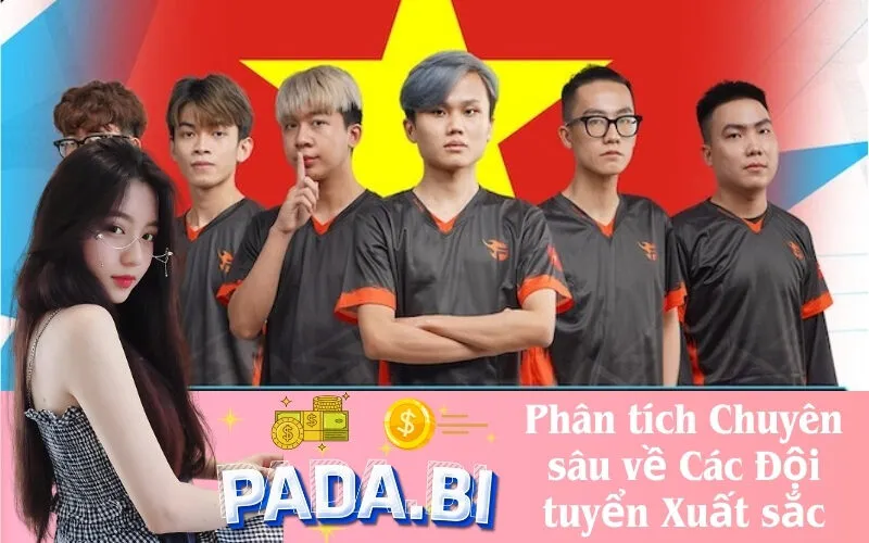 Phân tích Chuyên sâu về Các Đội tuyển Xuất sắc
