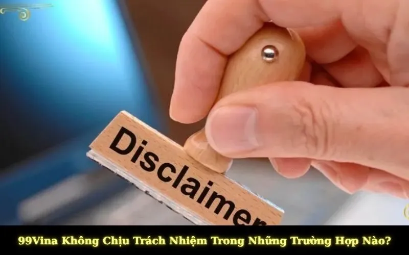 99Vina Không Chịu Trách Nhiệm Trong Những Trường Hợp Nào