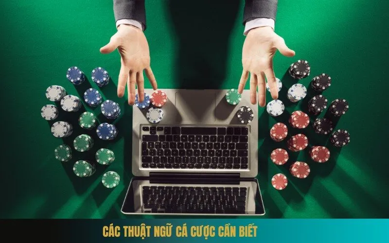 Các thuật ngữ cá cược cần biết
